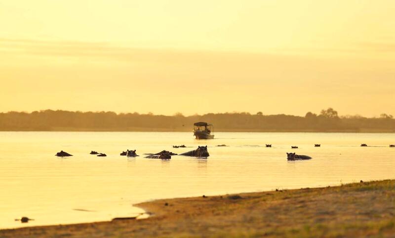 Boating safari hippo spot 1140x685 1