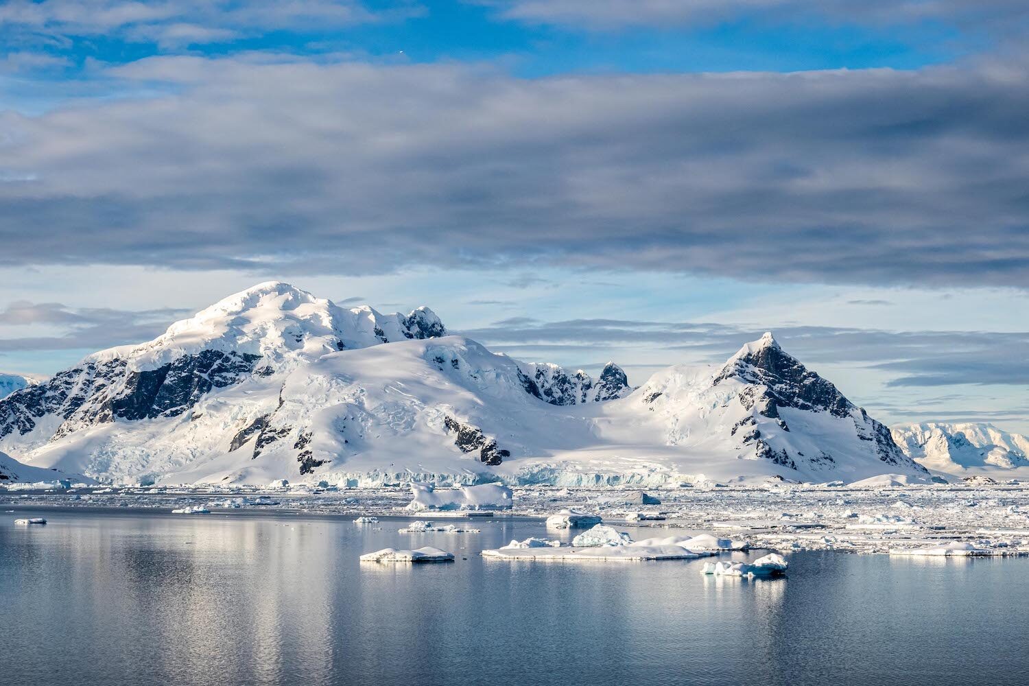 Cuverville Island Antarctica